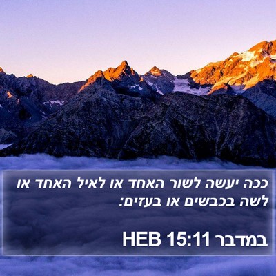 במדבר 15:11 HEB Bible Verse Image