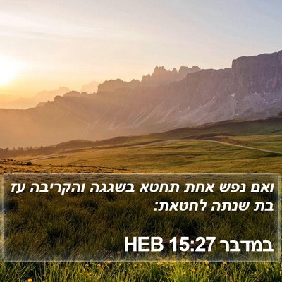 במדבר 15:27 HEB Bible Verse Image
