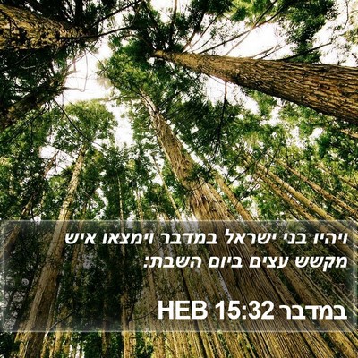 במדבר 15:32 HEB Bible Verse Image
