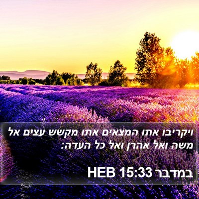 במדבר 15:33 HEB Bible Verse Image