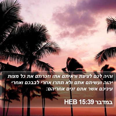 במדבר 15:39 HEB Bible Verse Image