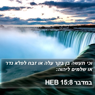 במדבר 15:8 HEB Bible Verse Image