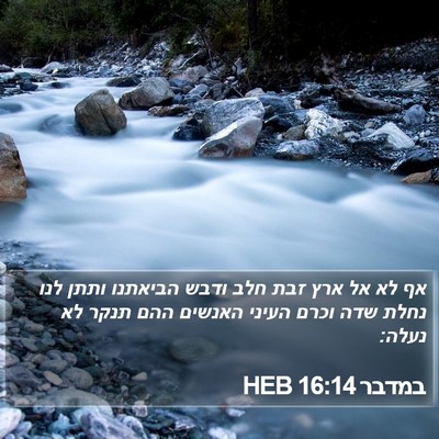 במדבר 16:14 HEB Bible Verse Image