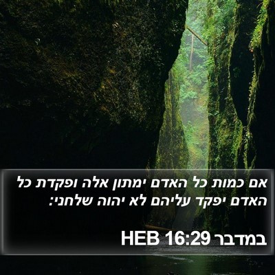 במדבר 16:29 HEB Bible Verse Image