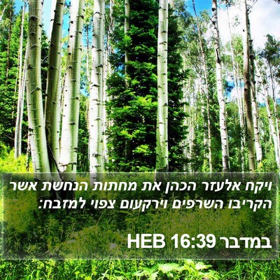 במדבר 16:39 HEB Bible Verse Image