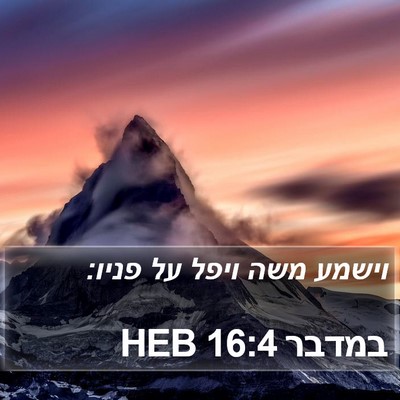 במדבר 16:4 HEB Bible Verse Image