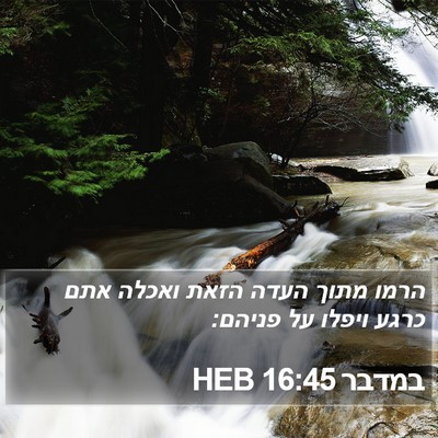 במדבר 16:45 HEB Bible Verse Image