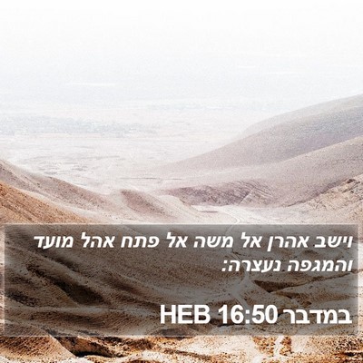 במדבר 16:50 HEB Bible Verse Image