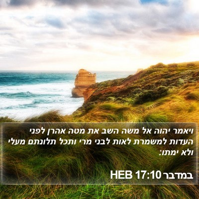 במדבר 17:10 HEB Bible Verse Image