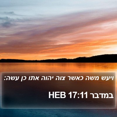 במדבר 17:11 HEB Bible Verse Image