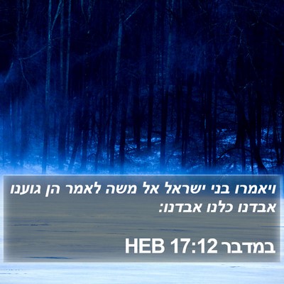 במדבר 17:12 HEB Bible Verse Image