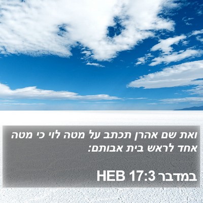 במדבר 17:3 HEB Bible Verse Image