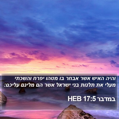 במדבר 17:5 HEB Bible Verse Image