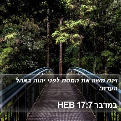 במדבר 17:7 HEB Bible Verse Image