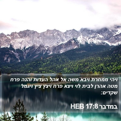 במדבר 17:8 HEB Bible Verse Image