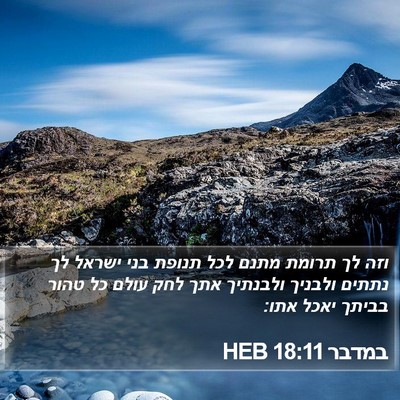 במדבר 18:11 HEB Bible Verse Image
