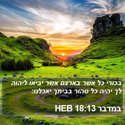 במדבר 18:13 HEB Bible Verse Image
