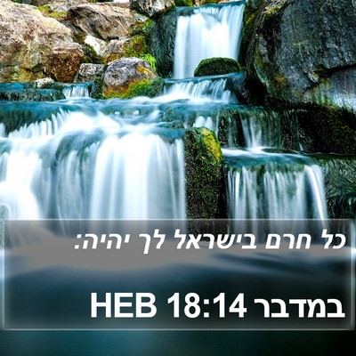 במדבר 18:14 HEB Bible Verse Image