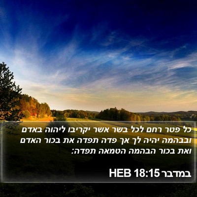 במדבר 18:15 HEB Bible Verse Image
