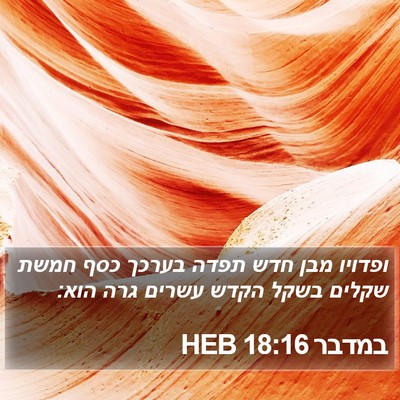 במדבר 18:16 HEB Bible Verse Image
