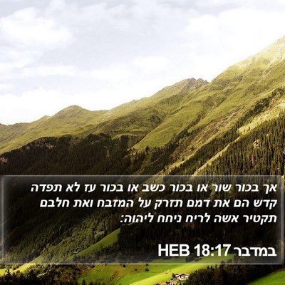במדבר 18:17 HEB Bible Verse Image