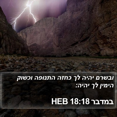 במדבר 18:18 HEB Bible Verse Image