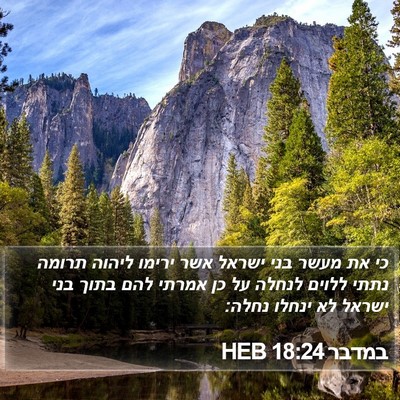 במדבר 18:24 HEB Bible Verse Image