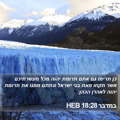 במדבר 18:28 HEB Bible Verse Image