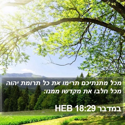 במדבר 18:29 HEB Bible Verse Image