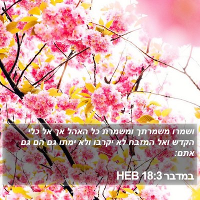 במדבר 18:3 HEB Bible Verse Image