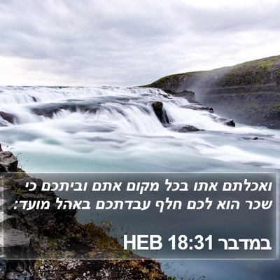 במדבר 18:31 HEB Bible Verse Image