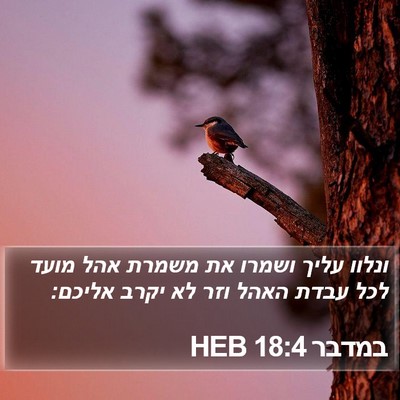 במדבר 18:4 HEB Bible Verse Image