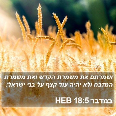 במדבר 18:5 HEB Bible Verse Image