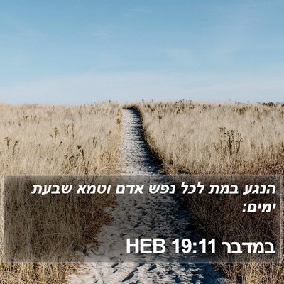 במדבר 19:11 HEB Bible Verse Image