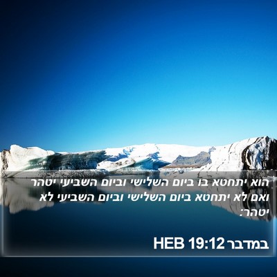 במדבר 19:12 HEB Bible Verse Image