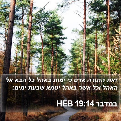 במדבר 19:14 HEB Bible Verse Image