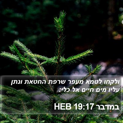 במדבר 19:17 HEB Bible Verse Image