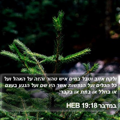 במדבר 19:18 HEB Bible Verse Image