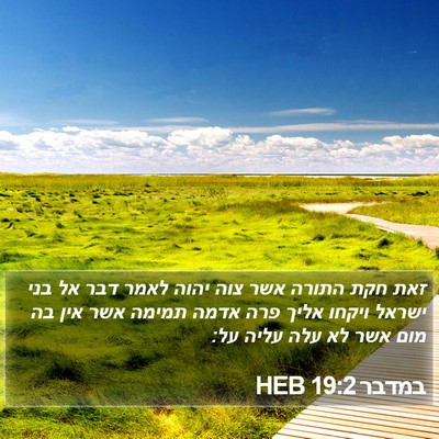 במדבר 19:2 HEB Bible Verse Image