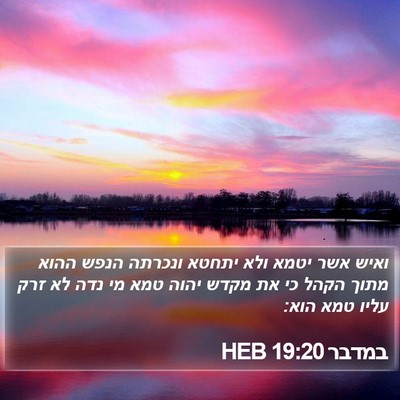 במדבר 19:20 HEB Bible Verse Image