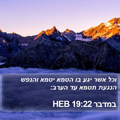 במדבר 19:22 HEB Bible Verse Image