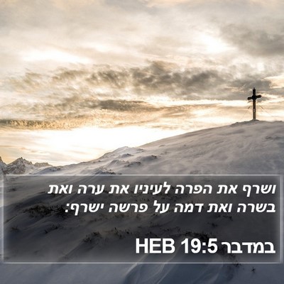 במדבר 19:5 HEB Bible Verse Image