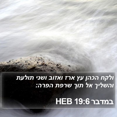 במדבר 19:6 HEB Bible Verse Image