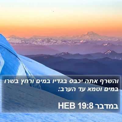 במדבר 19:8 HEB Bible Verse Image