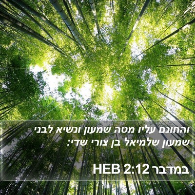 במדבר 2:12 HEB Bible Verse Image