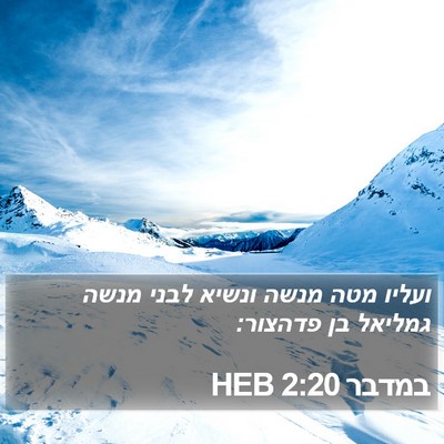 במדבר 2:20 HEB Bible Verse Image