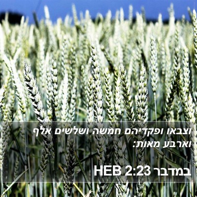במדבר 2:23 HEB Bible Verse Image