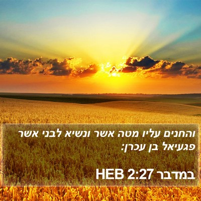 במדבר 2:27 HEB Bible Verse Image