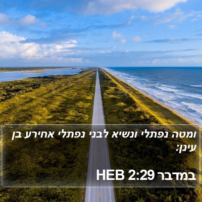 במדבר 2:29 HEB Bible Verse Image