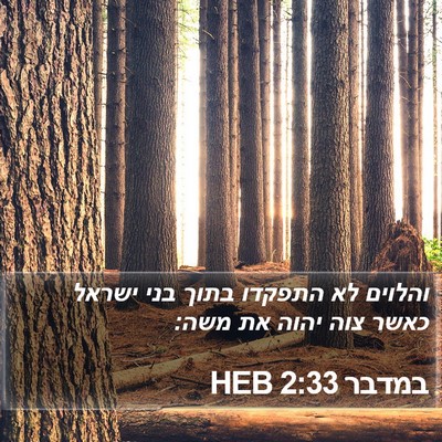 במדבר 2:33 HEB Bible Verse Image